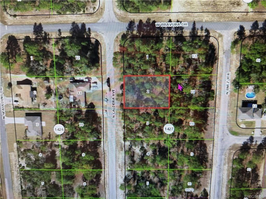 Photo of 10585 N Caldera Avenue, Citrus Springs, FL 34433 (MLS # OM731466)