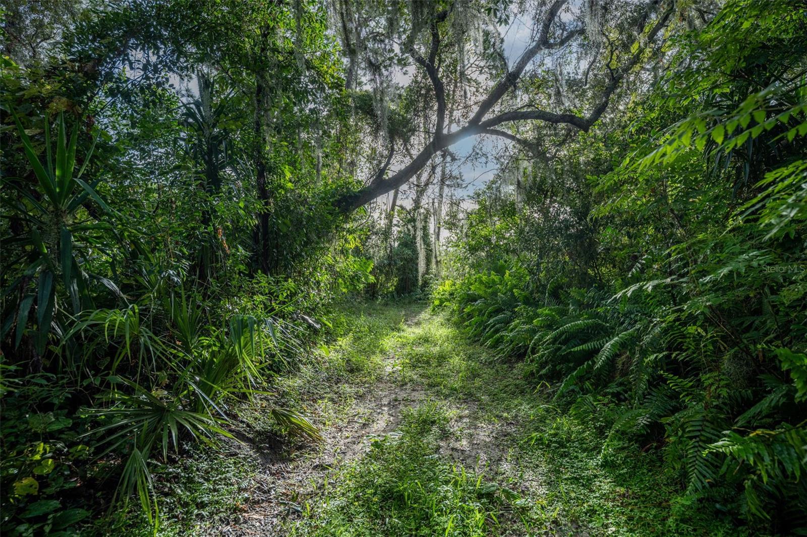 DELTONA LAKES UNIT 31 - Land