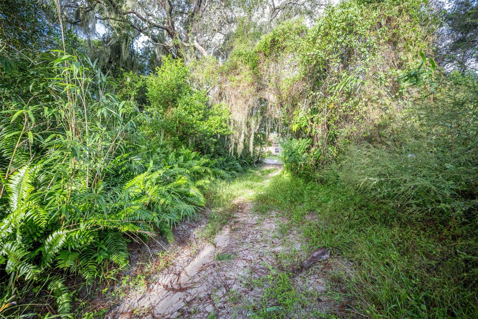 DELTONA LAKES UNIT 31 - Land