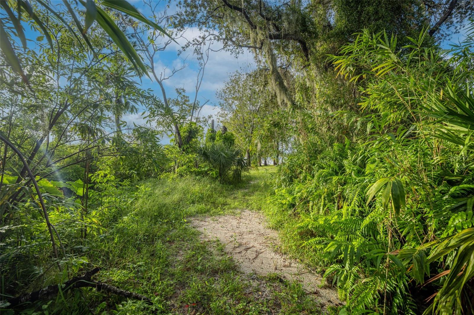 DELTONA LAKES UNIT 31 - Land