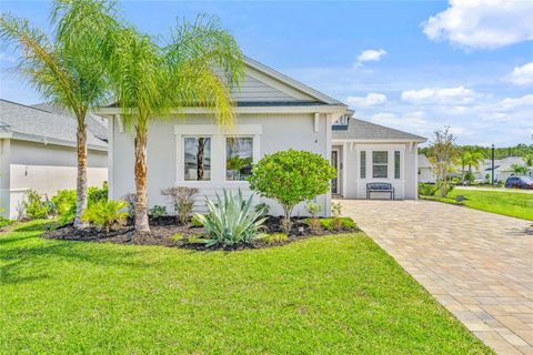 Photo of 4 Spring Street, Palm Coast, FL 32164 (MLS # FC317450)