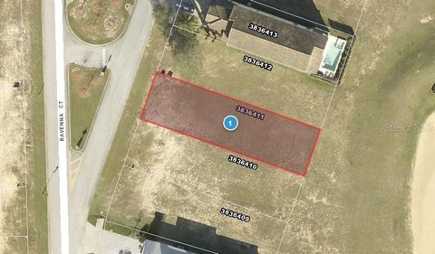 16238 RAVENNA COURT BELLA COLLINA FL 34756