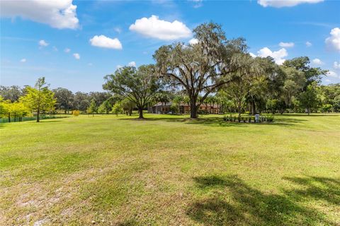 Tiny photo for 708 SE 44th Road, Ocala, FL 34480 (MLS # OM710169)
