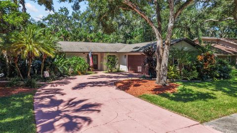 Photo of 20 Pinewood Circle, Safety Harbor, FL 34695 (MLS # TB8425425)