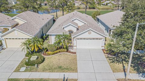 A home in LAND O LAKES