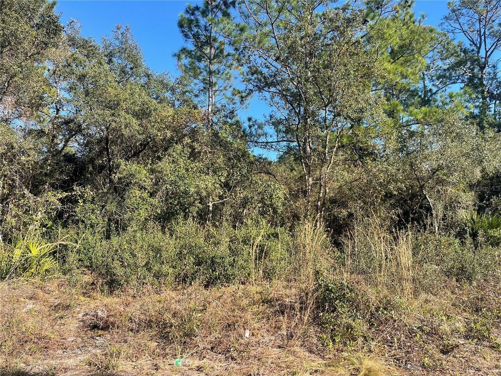 Photo of Rose Bud Drive, Deland, FL 32720 (MLS # O6374821)