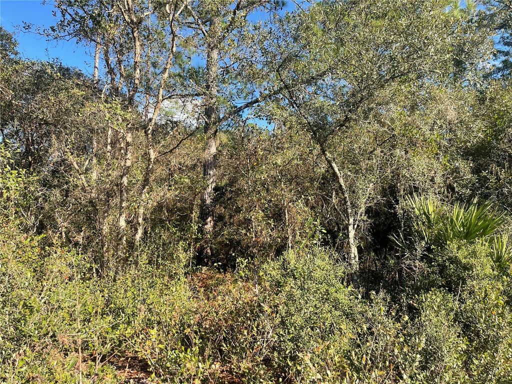 Photo of Rose Bud Drive, Deland, FL 32720 (MLS # O6374821)