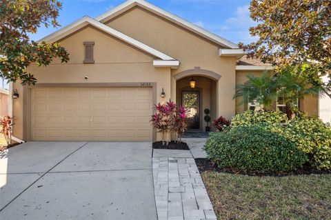 Photo of 12122 Rambling Stream Drive, Riverview, FL 33569 (MLS # TB8470801)