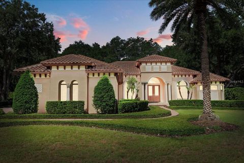 Photo of 32519 Hawks Lake Lane, Sorrento, FL 32776 (MLS # O6398417)