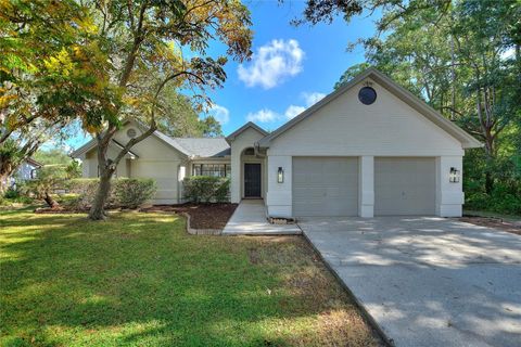 1262 DOCKSIDE DRIVE LUTZ FL 33559