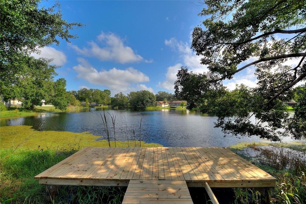 Photo of 1262 Dockside Drive, Lutz, FL 33559 (MLS # A4669673)