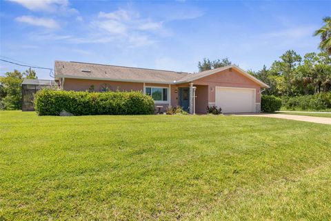 A home in PALM COAST