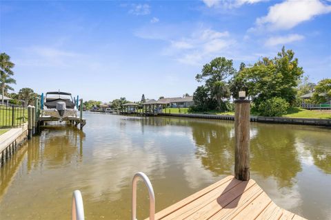 A home in PALM COAST