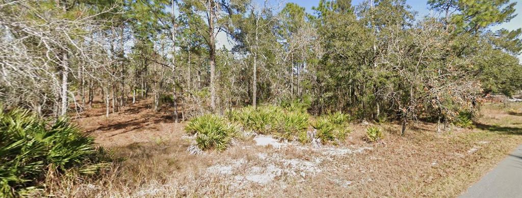 Photo of 11323 Furley Avenue, Weeki Wachee, FL 34613 (MLS # W7884004)