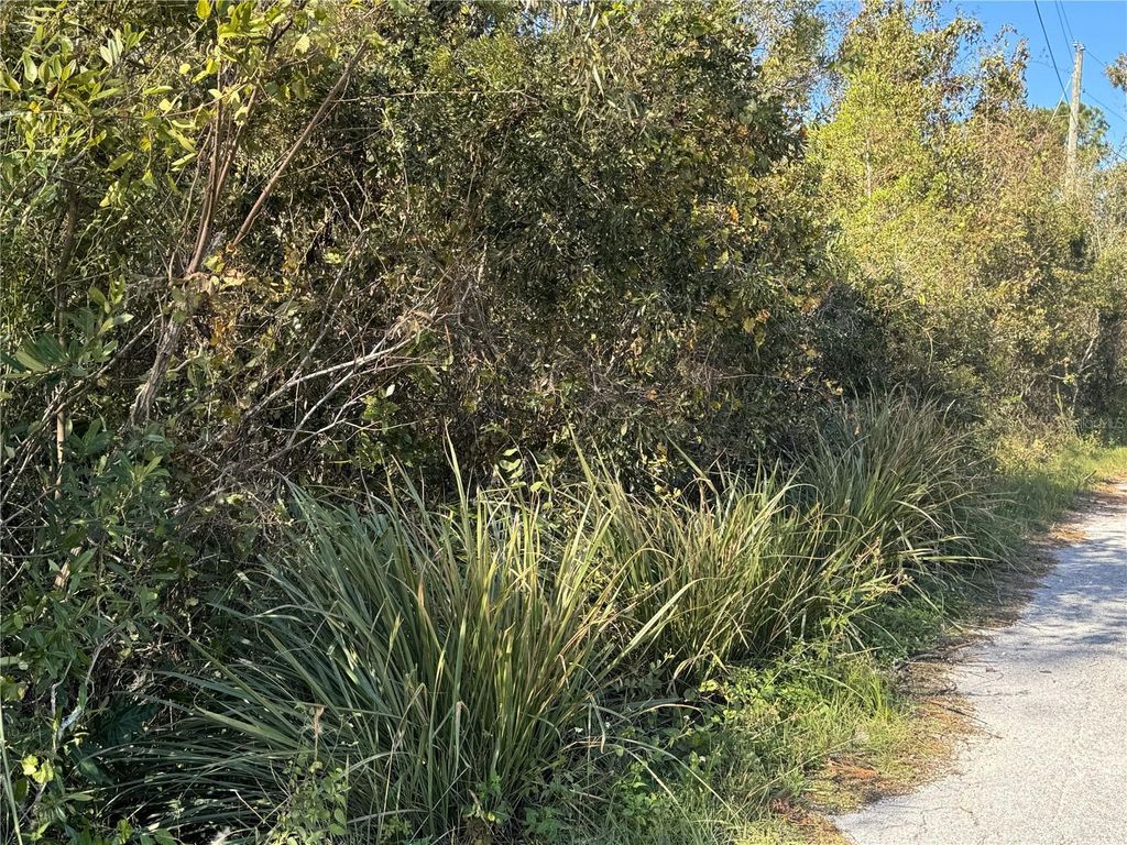 Photo of 616 Lawrence Avenue, Wesley Chapel, FL 33544 (MLS # W7869215)