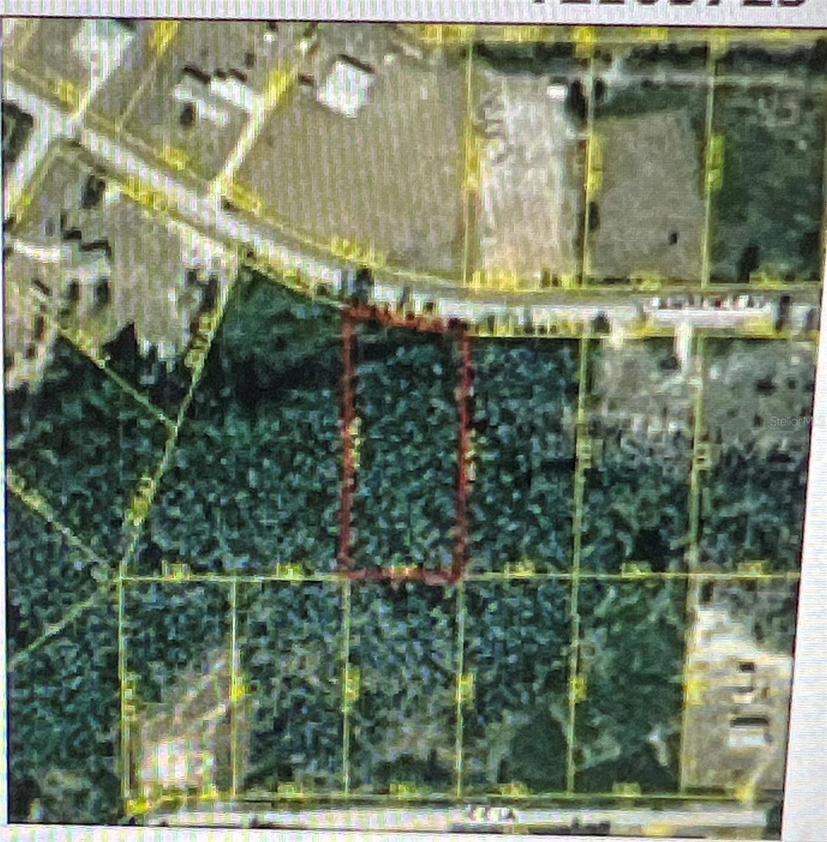 Build your Dream home in this Amazing Location in Quail Hollow Pines! This piece of gem is located in a quiet, peaceful neighborhood with NO HOA or CDD, It is Conveniently located near I-75, close to the Premium Outlets, highly rated schools, hospitals. Get to downtown Tampa, The Grove & Krate, Tampa International Airport, Dining, movie theatre, multiple fitness centers and all sorts of entertainment in less than 35. This neighborhood is known for its welcoming atmosphere.