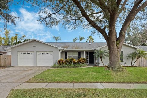 A home in ORLANDO