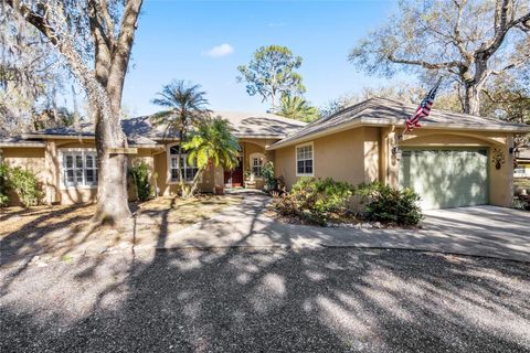 Photo of 295 N Jungle Road, Geneva, FL 32732 (MLS # O6376882)