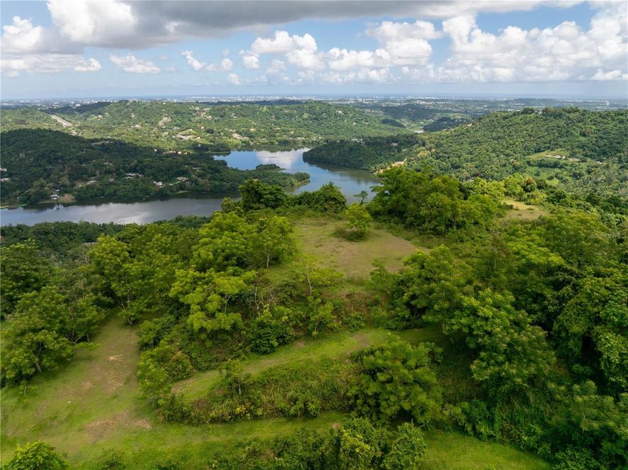 Al norte, el Océano Atlántico y toda el área metropolitana de San Juan. Al sur, las Montañas Centrales de Puerto Rico, Caguas y el Valle del Turabo. Ubicado en el pico más alto de la montaña donde el aire es puro y fresco, en armonía con la naturaleza. A solo 35 minutos de San Juan, 15 minutos de Caguas y Montehiedra. * 150 ACRES * Este terreno fue concebido originalmente como un desarrollo residencial y turístico llamado Hacienda Mirador. Incluía la construcción de hoteles, condominios de tiempo compartido y casas residenciales. ¡Algunas de las estructuras todavía están en su lugar! La propiedad ya tiene sistema de distribución de agua y electricidad.