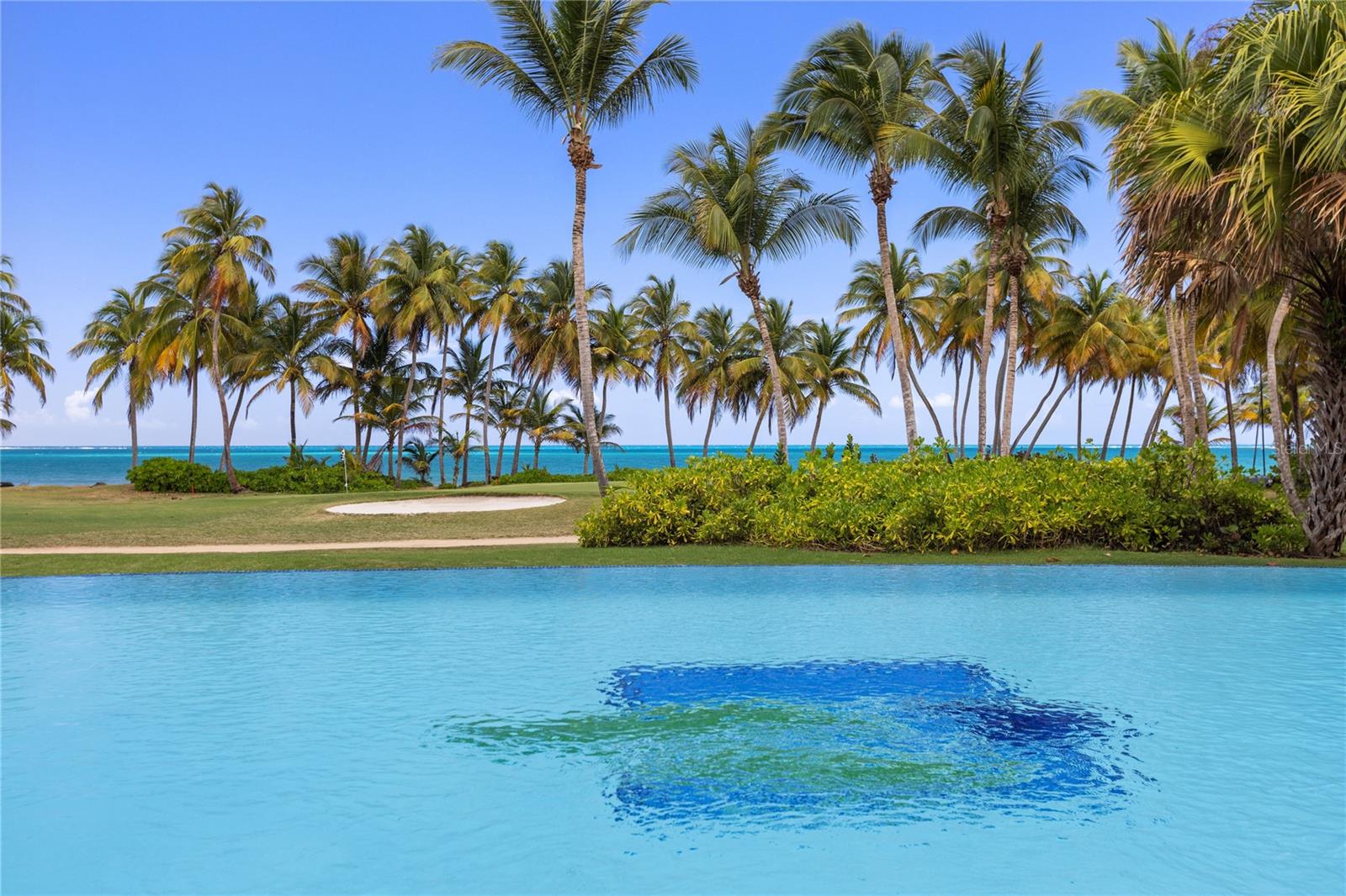 OCEAN SIXTEEN - Residential