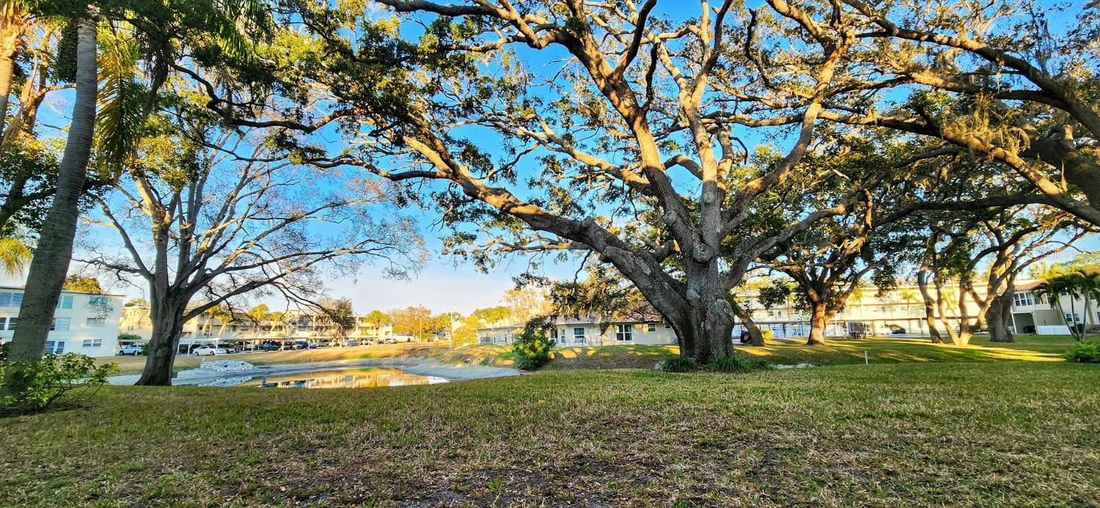 HEATHER LAKE APTS CONDO - Residential