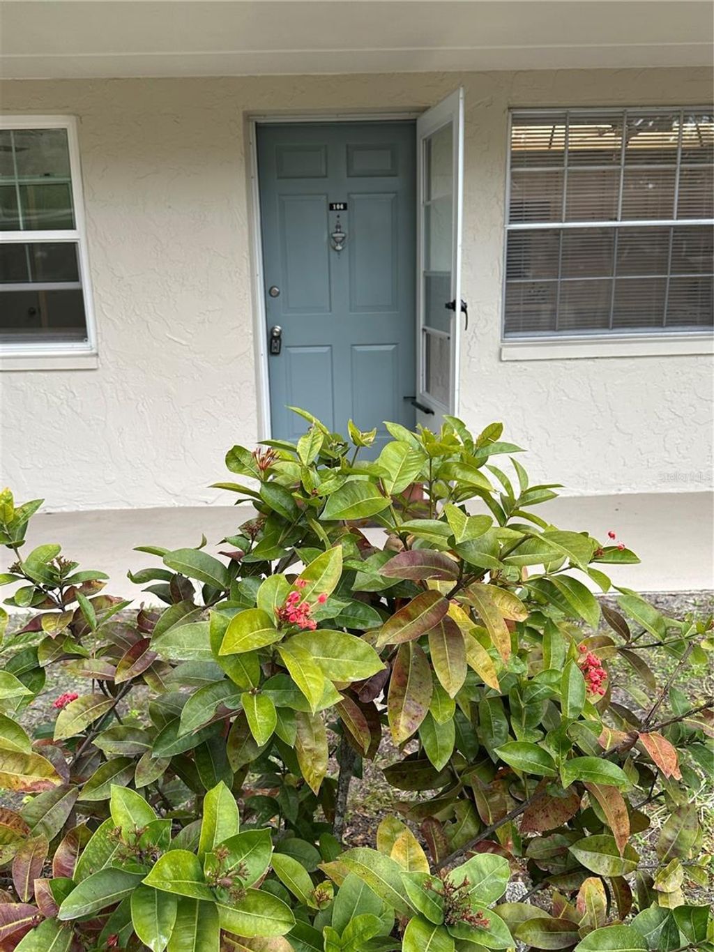 Photo of 821 Patricia Avenue #106, Dunedin, FL 34698 (MLS # TB8473796)