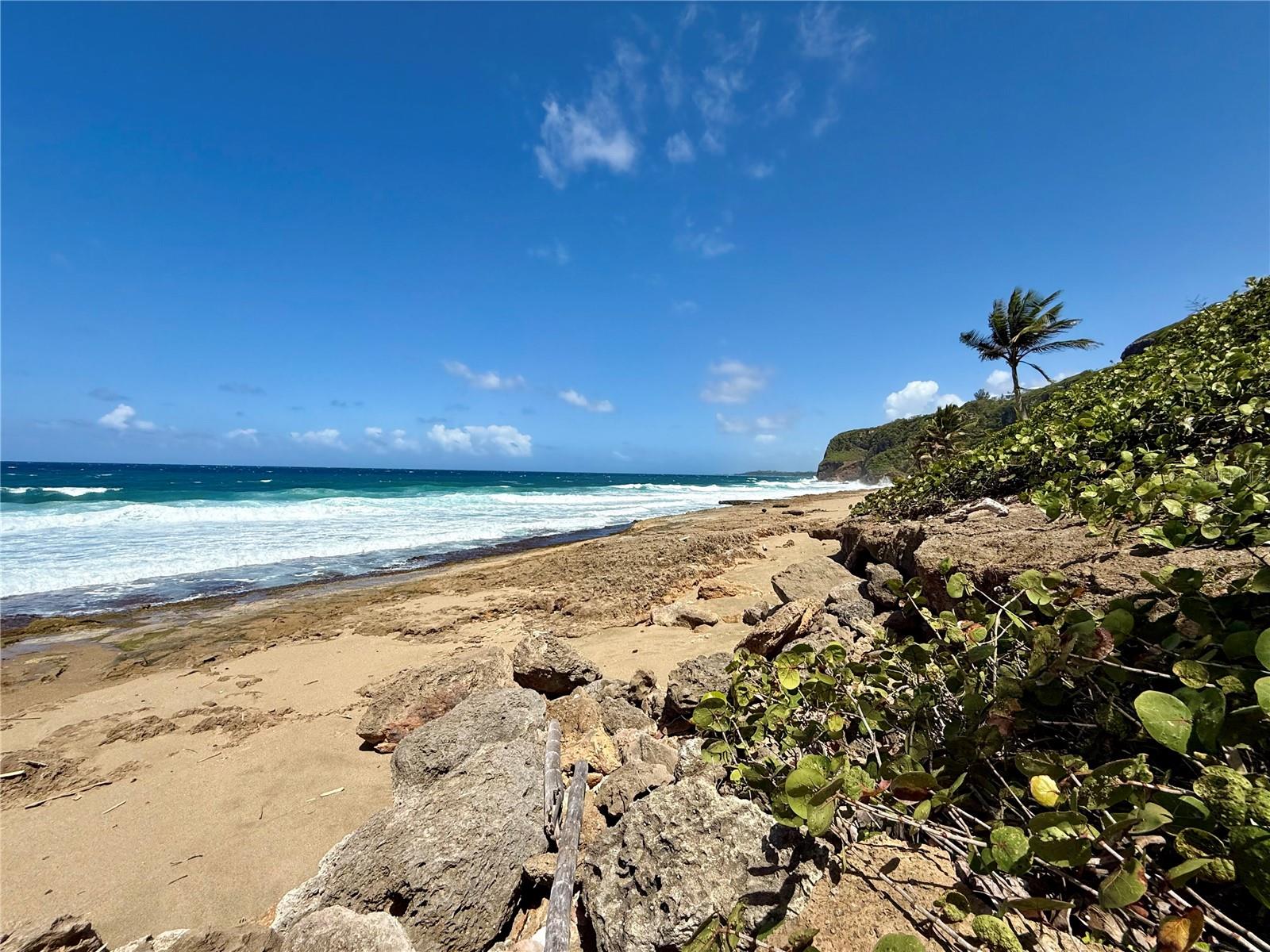 LA PERLA TERRANOVA - Residential