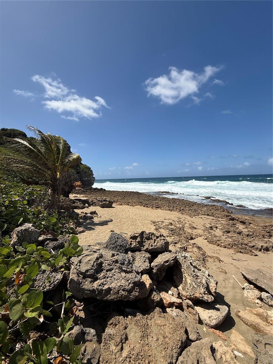 LA PERLA TERRANOVA - Residential