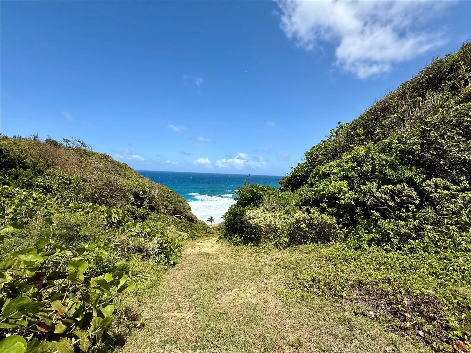 LA PERLA TERRANOVA - Residential