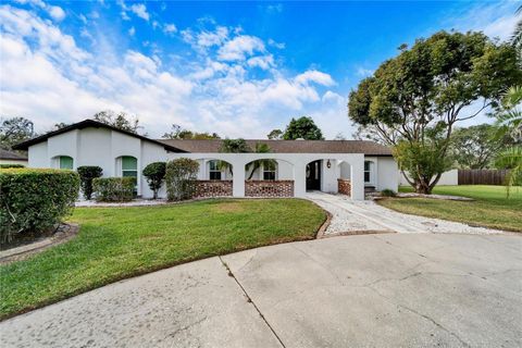 A home in RIVERVIEW