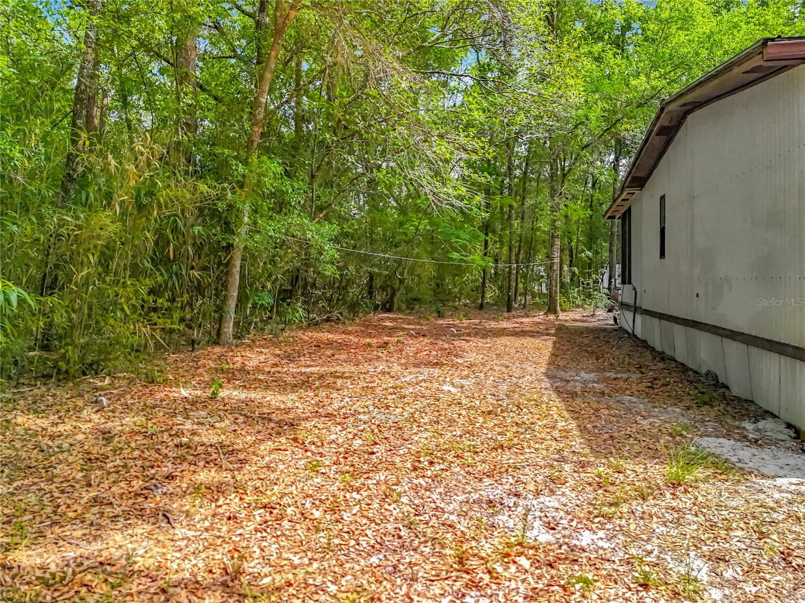 OCALA FOREST CAMPSITES 01 - Residential
