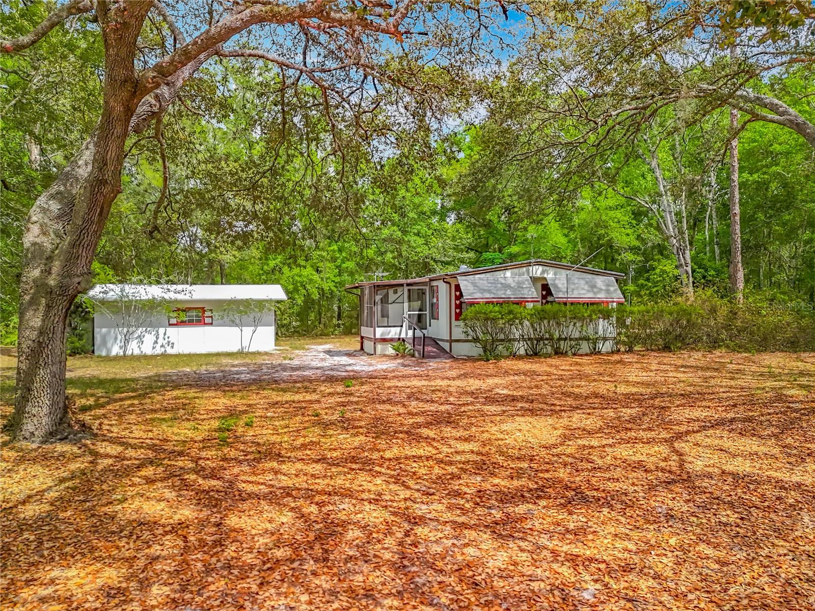 OCALA FOREST CAMPSITES 01 - Residential
