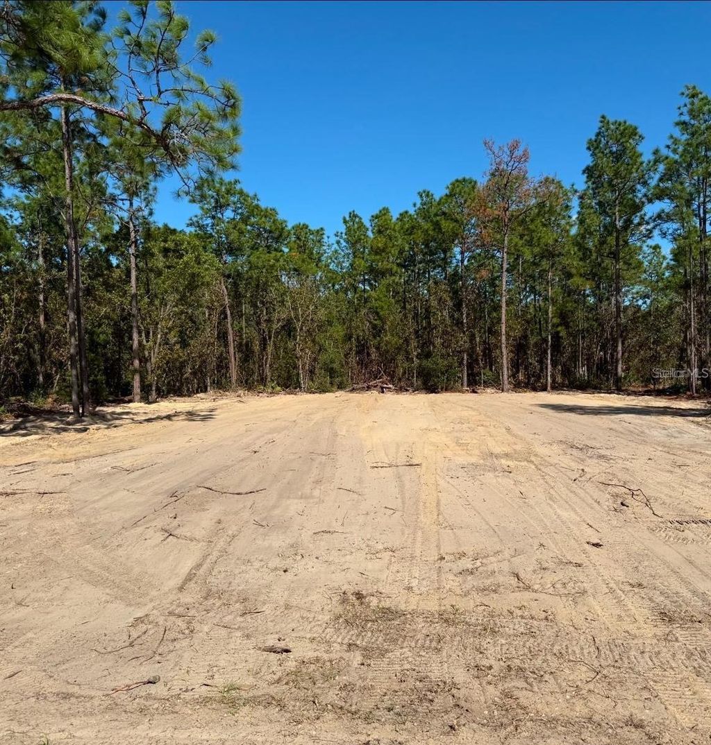 Photo of 13831 SW 89th Circle, Ocala, FL 34473 (MLS # S5150895)