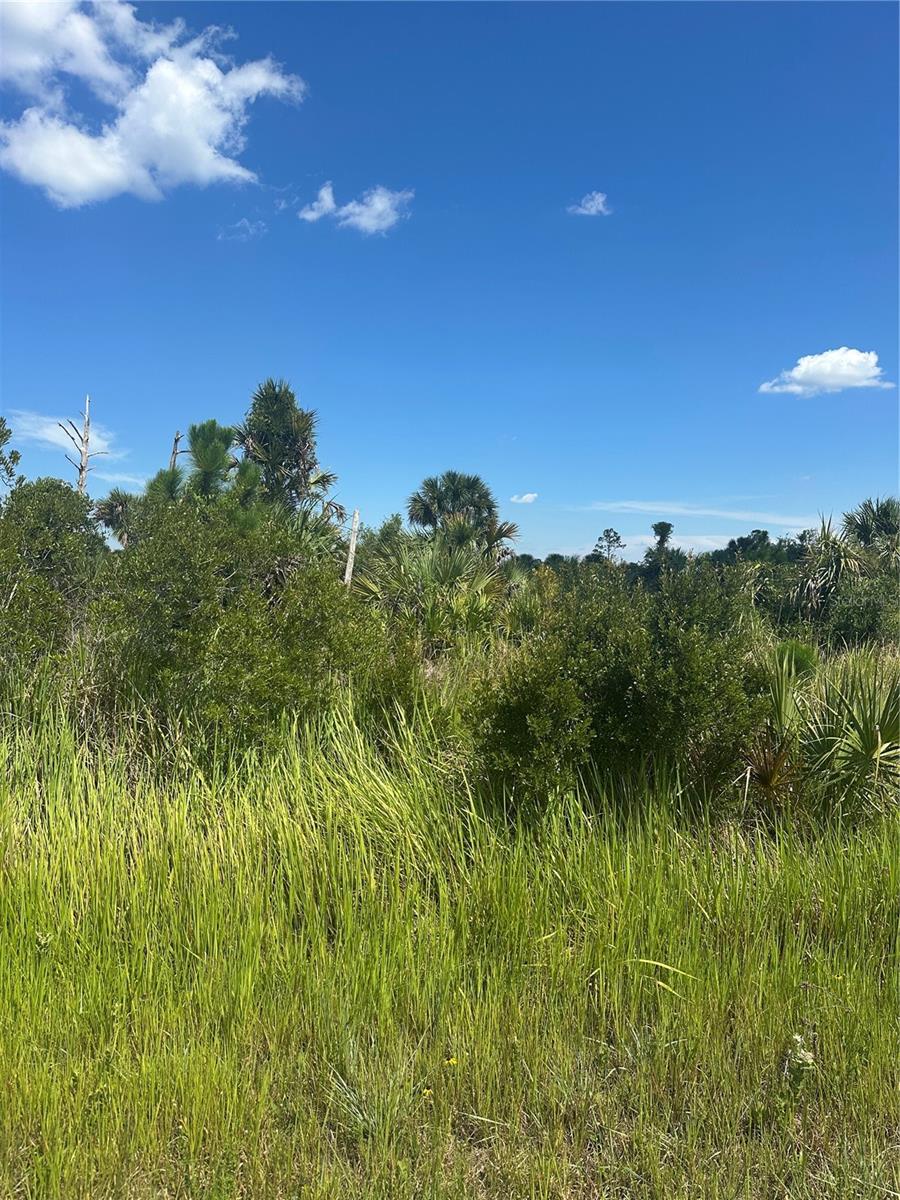 PORT CHARLOTTE SUB 46 - Land