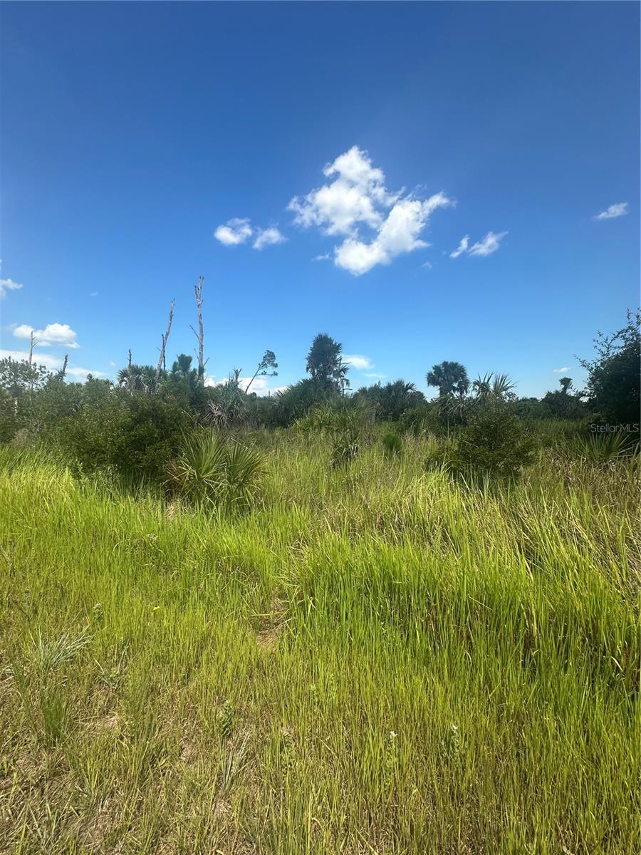 PORT CHARLOTTE SUB 46 - Land