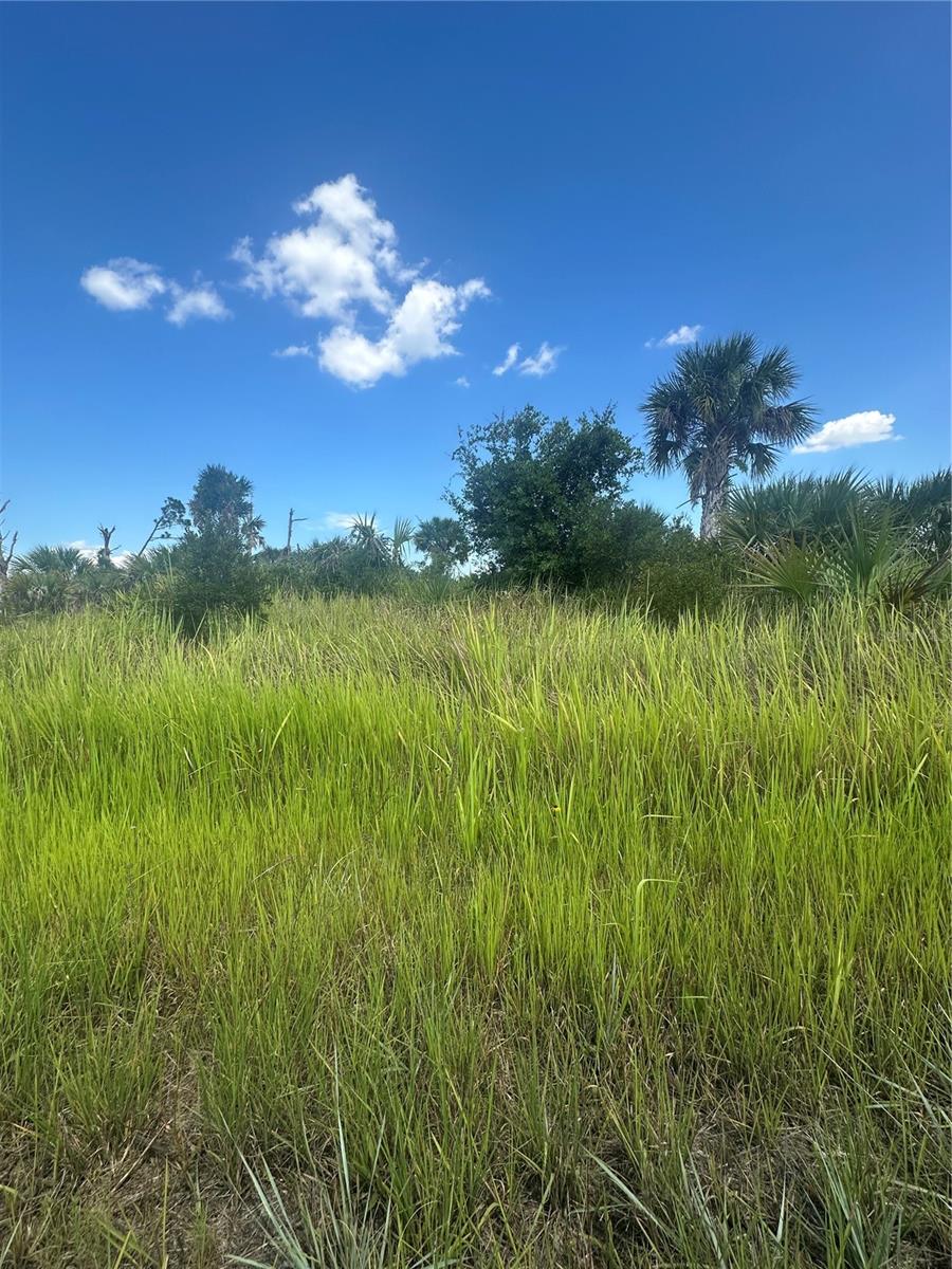 PORT CHARLOTTE SUB 46 - Land