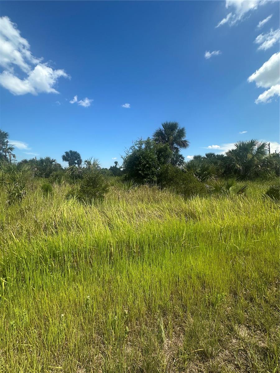 PORT CHARLOTTE SUB 46 - Land