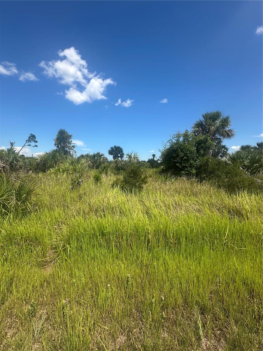 Exceptional Opportunity in North Port Build Your Dream in a Booming Florida Hotspot! Seize the chance to own a prime residential lot in the rapidly growing and highly sought-after city of North Port, Florida-one of Southwest Florida's most exciting and dynamic communities. This peacefully located parcel offers no HOA fees, no deed restrictions, and no CDDs, giving you the freedom to design and build exactly what you envision. Plus, as of May 2025, this lot is not listed on the North Port Scrub Jay map (buyer to verify during due diligence). Just minutes from I-75, this ideal location ensures easy commuting while keeping you close to everything-shopping, dining, top-rated schools, parks, golf courses, and world-class fishing. With new construction all around, it's clear that North Port is on the rise, making this the perfect time to invest in your future. Love the beaches? You're in luck-stunning Gulf Coast beaches are just a quick 25-minute drive away, where you can unwind with the sand between your toes and breathtaking sunsets at your fingertips. Sports fans will appreciate being near MLB Spring Training stadiums to catch the games. Whether you're planning to build your forever home or looking for a savvy investment, this property offers unlimited potential in a thriving area. Need help getting started? Local builder referrals are available upon request. Don't miss out on this incredible opportunity in one of Southwest Florida's most exciting and up-and-coming cities!