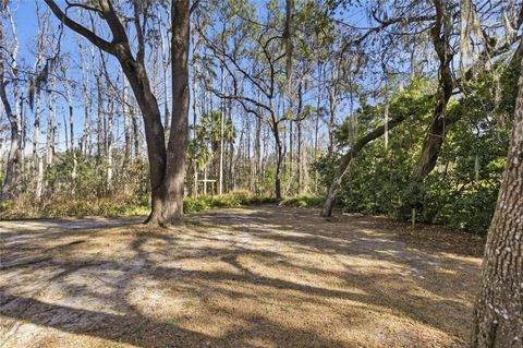 Tiny photo for 351 Sequoia Dr, Ocklawaha, FL 32179 (MLS # OM717657)