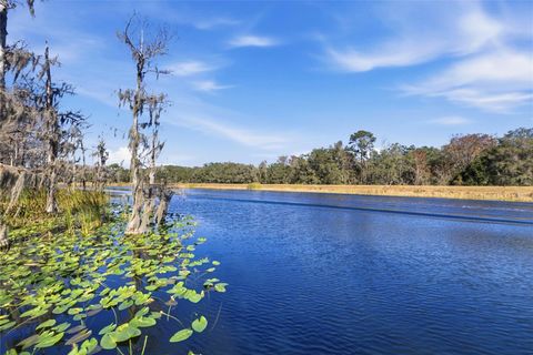 Tiny photo for 351 Sequoia Dr, Ocklawaha, FL 32179 (MLS # OM717657)