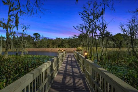 Tiny photo for 351 Sequoia Dr, Ocklawaha, FL 32179 (MLS # OM717657)