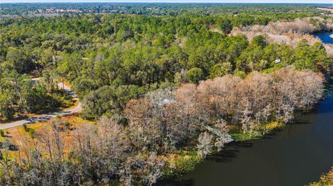 Tiny photo for 351 Sequoia Dr, Ocklawaha, FL 32179 (MLS # OM717657)