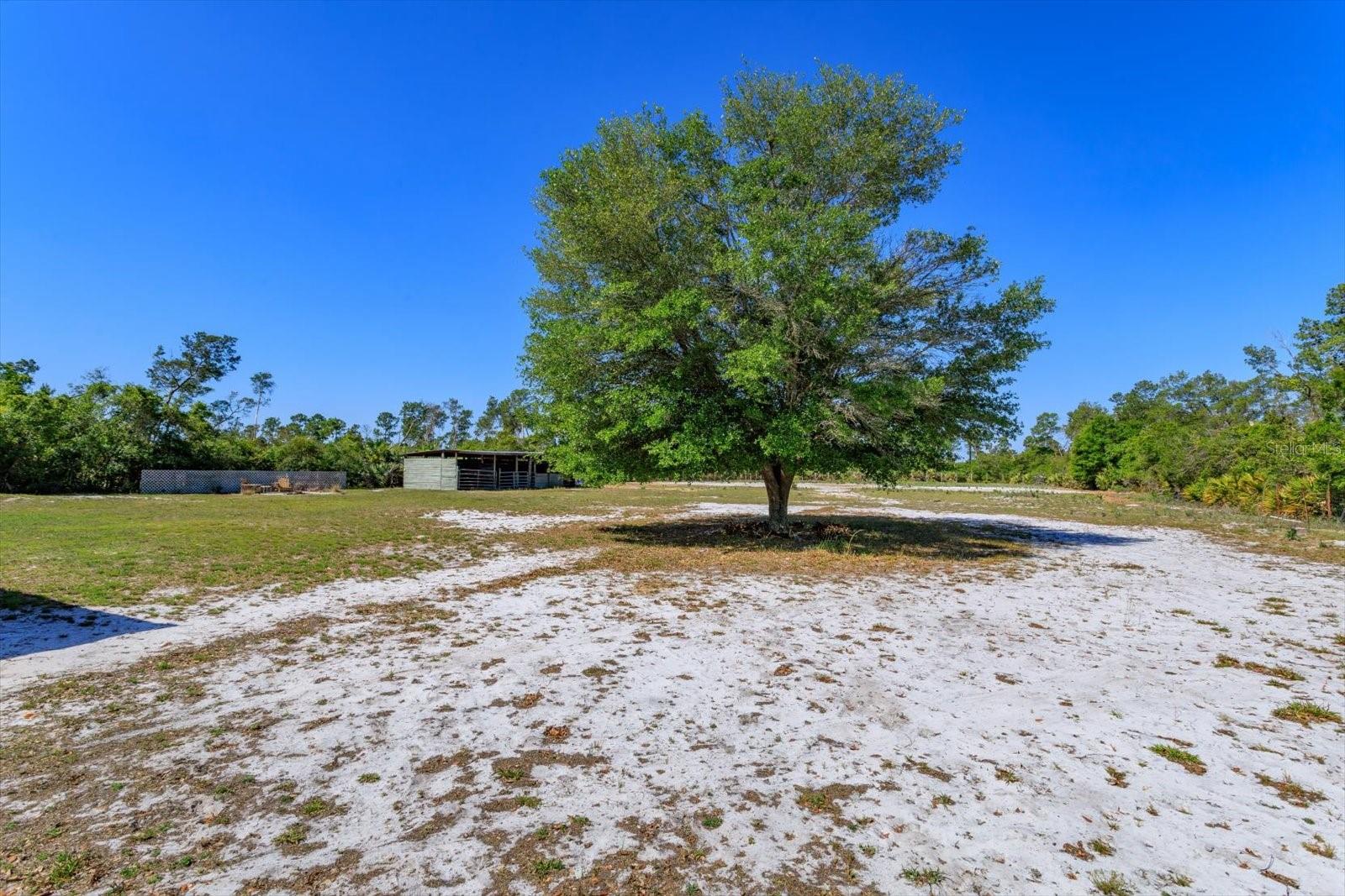 DELTONA FARMS ESTS UNREC SUB - Residential