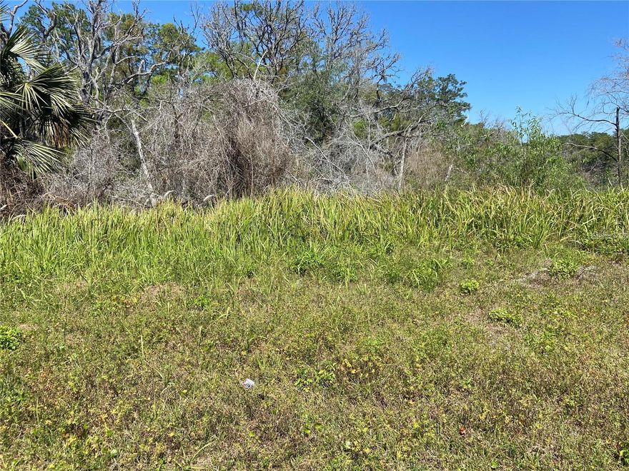 Don't miss your chance to be part of West Volusia County's rapid expansion.  This 2.5-acre lot is attractively priced for investors or buyers who value location and growth potential.  Just 15 minutes from Downtown DeLand and only 5 minutes from beautiful Lake Diaz, this parcel combines convenience and natural appeal.  Virtually tour the location using GPS coordinates 29.168157, -81.279546 - note that there is currently no direct access to the property.  Position yourself in a vibrant area poised for new development and lasting value!