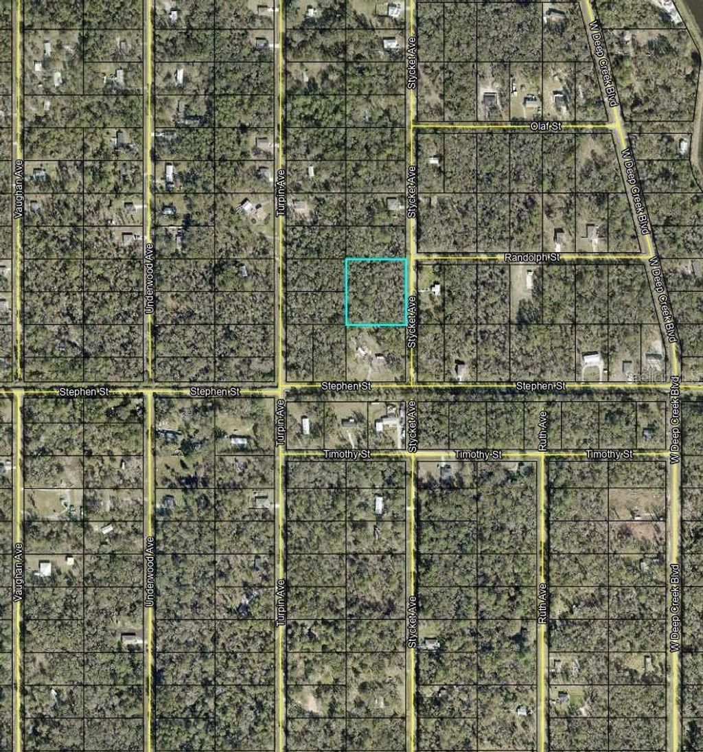 Photo of 10155 Stycket Avenue, Hastings, FL 32145 (MLS # TB8494156)