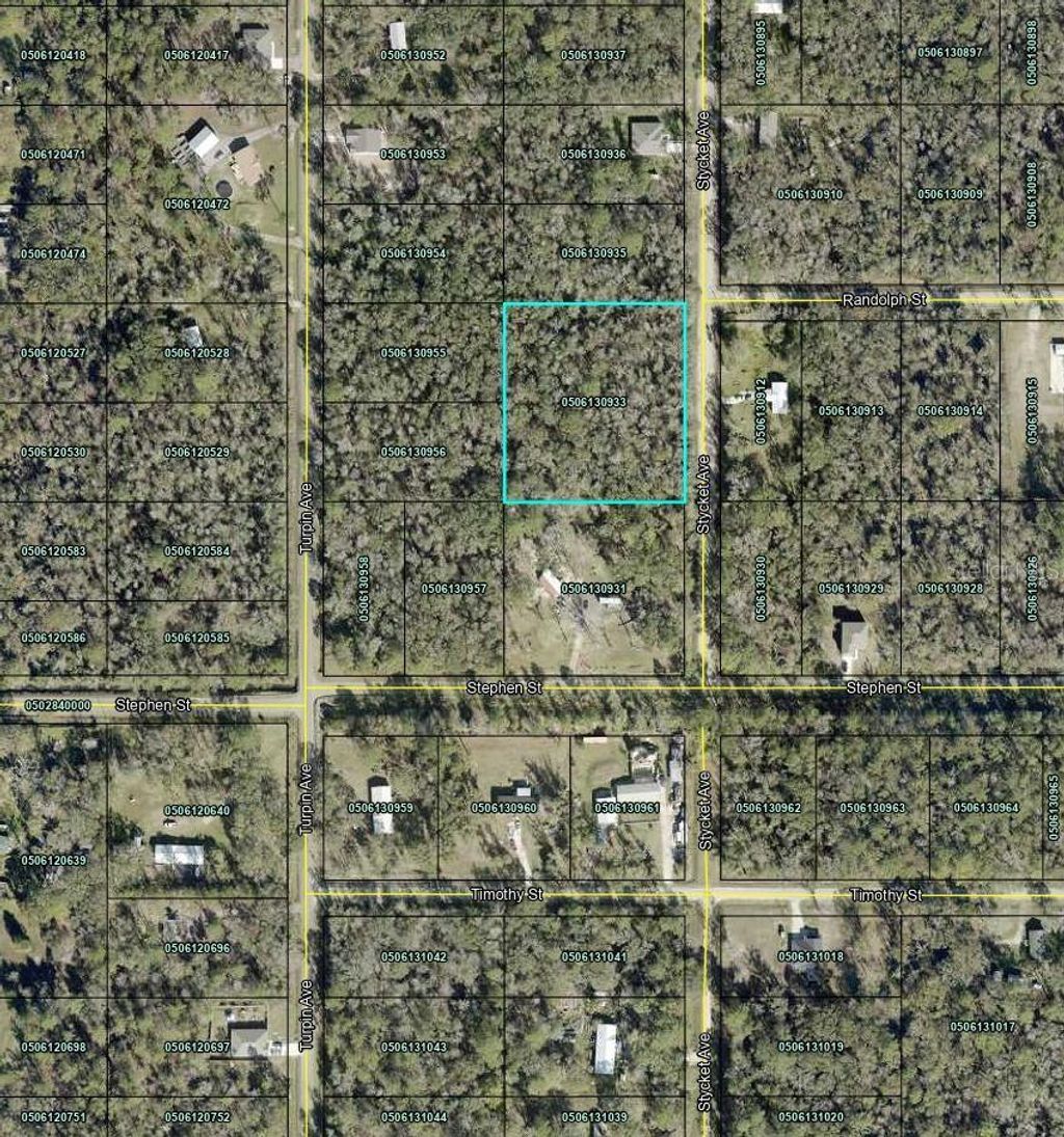 Photo of 10155 Stycket Avenue, Hastings, FL 32145 (MLS # TB8494156)