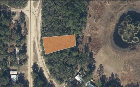 TBD SCOTT CIRCLE INTERLACHEN FL 32148