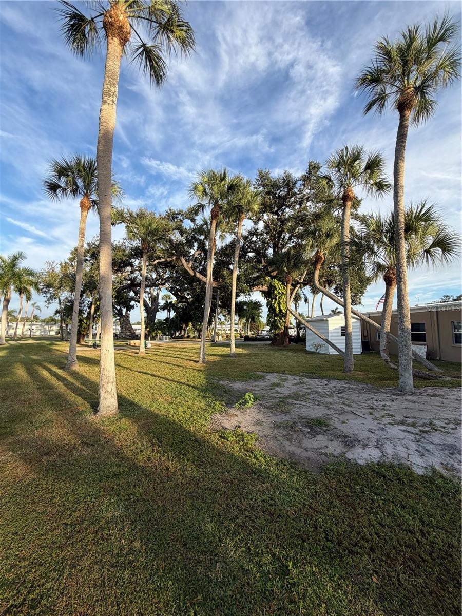 GOLF LAKES RESIDENTS CO-OP - Land