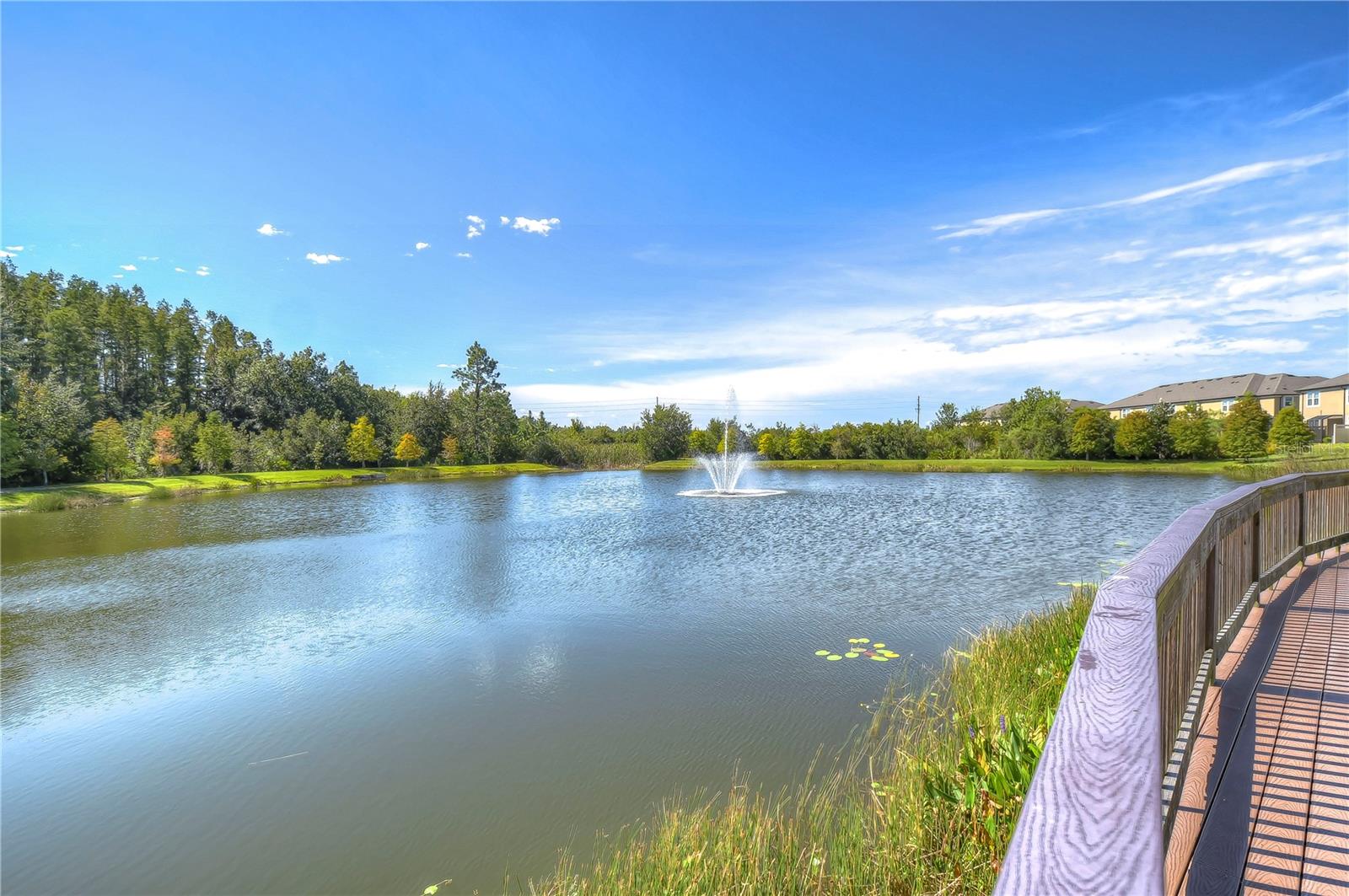 WINDERMERE ESTATES - Residential