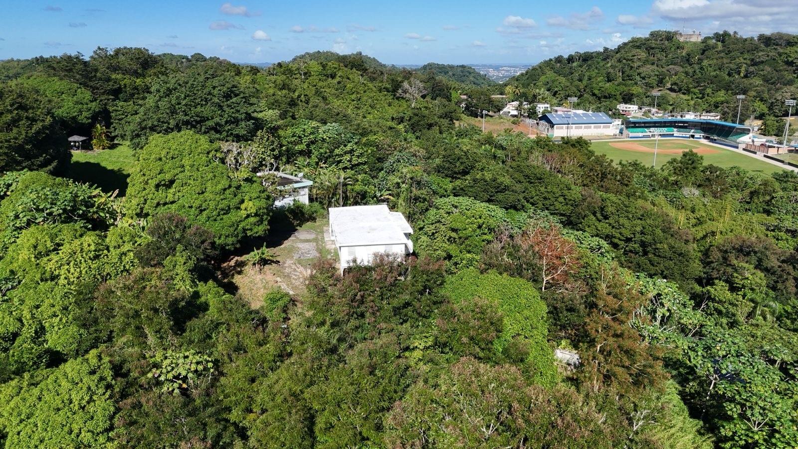 BO MAMEY - Residential